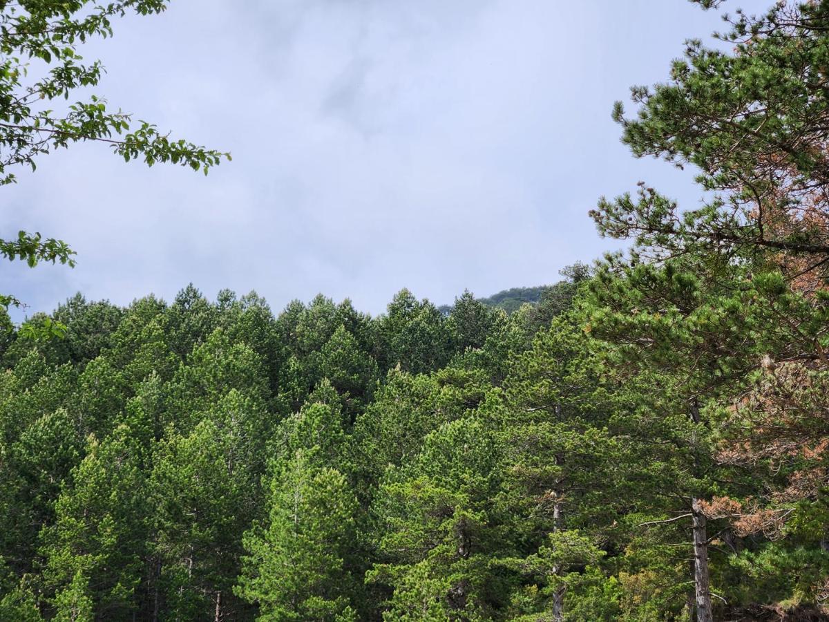 Llogora Dervishaliu Hotel Llogara National Park Екстер'єр фото